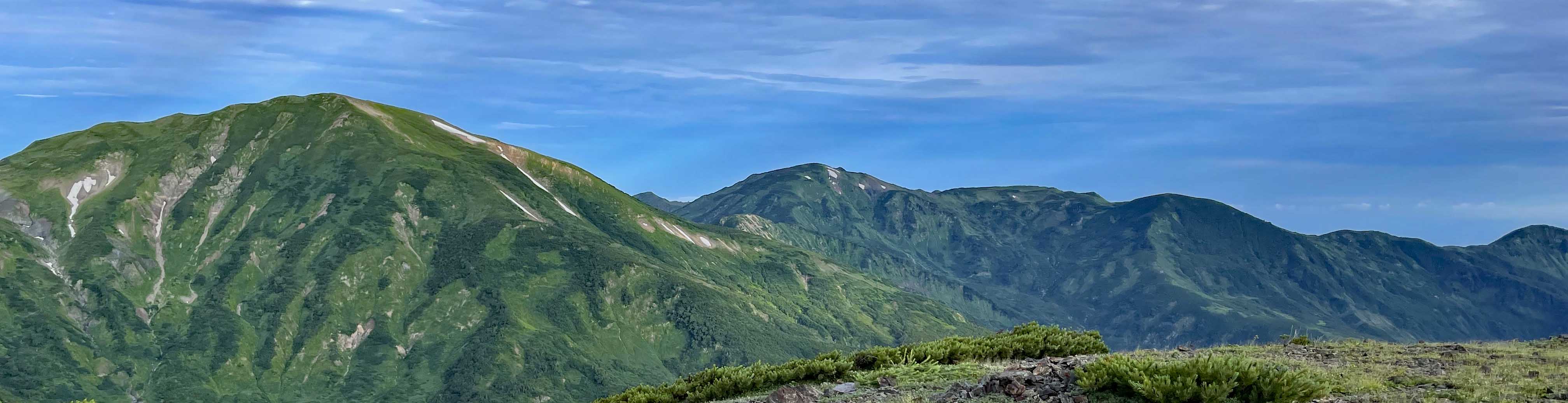 背景メイン