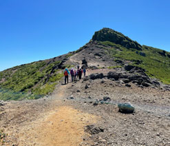 p2-1.jpg